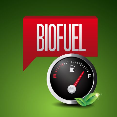 biopalivo
